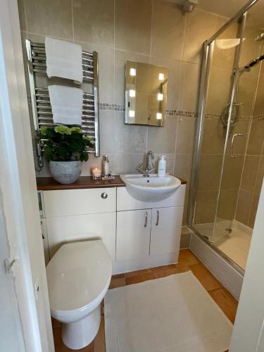 a bathroom with a toilet and a sink and a shower at Ringmore Cottage - Salcombe - View over estuary in Salcombe