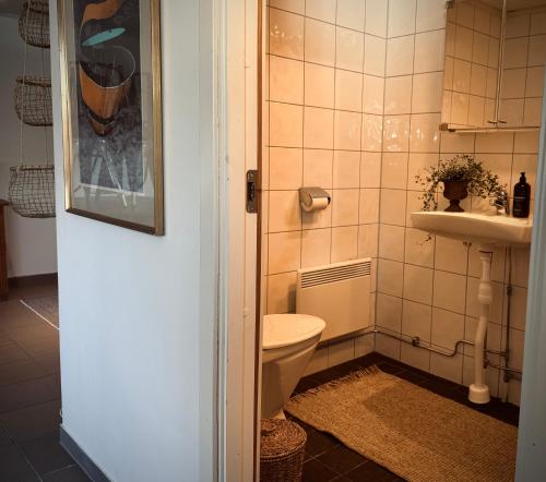 a bathroom with a toilet and a sink at Stuga Bra Nock in Brösarp