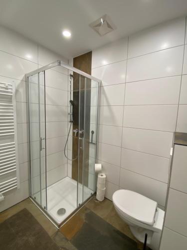 トラウンキルヒェンにあるSuite am Attwengerhofのバスルーム(ガラス張りのシャワー、トイレ付)