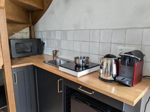 a kitchen counter with a sink and a microwave at La Sourcière Beaugency in Beaugency