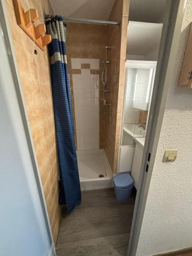 une petite salle de bain avec douche et toilettes dans l'établissement Pleiades D N133 - ST4, à Les Deux Alpes