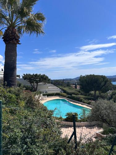 - une piscine bordée d'un palmier dans l'établissement Katikias - Duplex climatisé vue mer, à Bandol