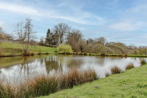 a body of water with grass and trees and a field at Gite du cerisier in Lanouaille