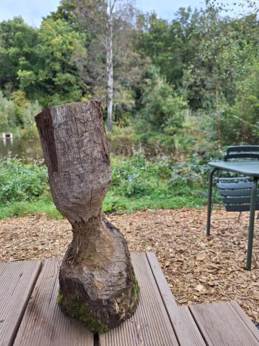 Un jardín fuera de expérience insolite - La Tiny de Perrine et Julien