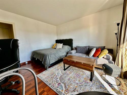 un salon avec un canapé et une table basse dans l'établissement Charming Parisian apartment in the 15th arrondissement, à Paris