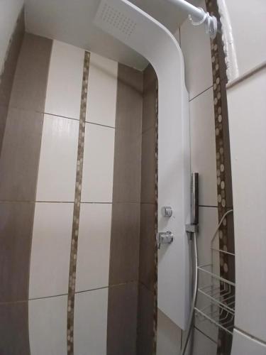 La salle de bains est pourvue d'une douche. dans l'établissement Superbe appartement 3 chambres, à Dijon