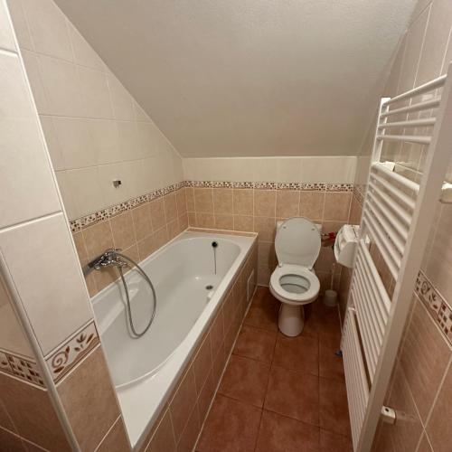 a bathroom with a bath tub and a toilet at Penzión Tandem in Martin