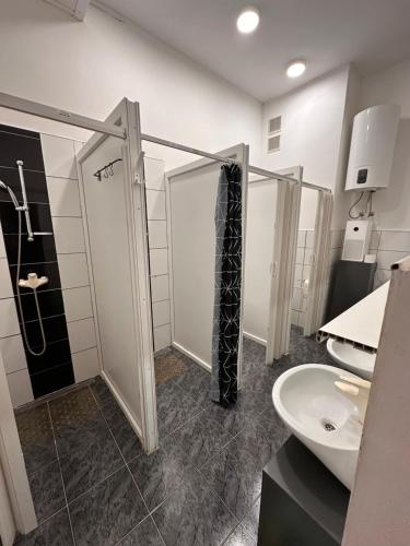 łazienka z prysznicem, toaletą i umywalką w obiekcie Crazy House Hostel w Puli