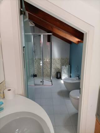 a bathroom with a shower and a toilet and a sink at Casa Verde in Santa Maria Maggiore
