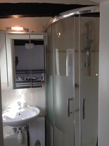 a bathroom with a sink and a shower at Lübecker Ganghausperle in Lübeck