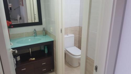 a bathroom with a toilet and a sink and a mirror at Casa Roc de Sant Gaietà in Comarruga
