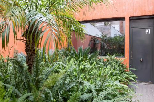 Enjoybcn Patio de Gala photo 42