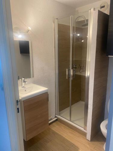 une salle de bain avec douche et lavabo dans l'établissement Cozy and modern studio, à La Grande Motte