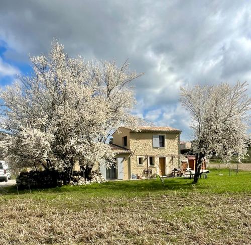 Photo de la galerie de l'établissement Le Petit Cabanon Provençal, à Mane