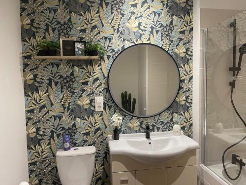 une salle de bain avec un lavabo et un miroir et des toilettes dans l'établissement Chic and Relaxing Retreat with Air Con, Bath Ritual & Candles - Pets welcome, à Carcassonne