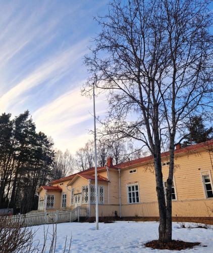 a house with a tree in the snow at Pappilan Kartano in Kuopio