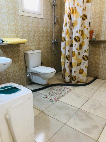 a bathroom with a toilet and a shower curtain at Roses House Ladies & families only in Luxor