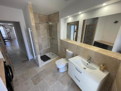 une salle de bain avec toilettes, lavabo et douche dans l'établissement Appartement 6 personnes - 04190 LES MÉES, à Les Mées