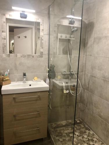 une salle de bain avec douche et lavabo dans l'établissement Studio 3 étoiles - parking - wifi - clim - piscine, à Roquebrune-sur Argens