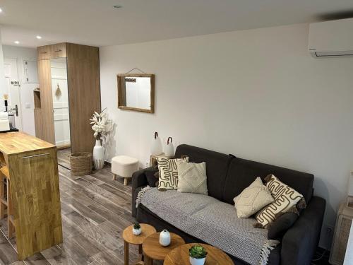 un salon avec un canapé et une table dans l'établissement Studio 3 étoiles - parking - wifi - clim - piscine, à Roquebrune-sur Argens