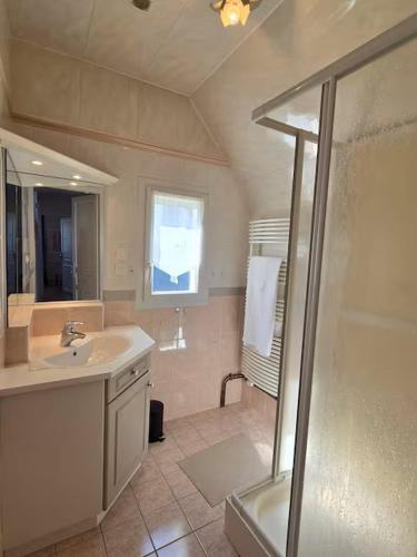 une salle de bain avec une douche, un lavabo et un miroir dans l'établissement Les pieds dans l'eau, à Saint-Quay-Portrieux