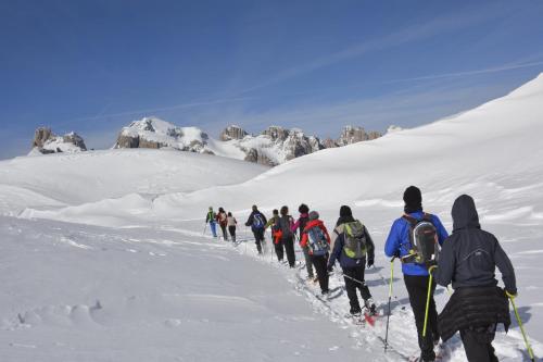 a group of people walking through the snow at Olympic SPA Hotel - Adults Only in Vigo di Fassa