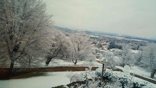 a snow covered forest with a river and trees at The Inn at Dresden in Dresden