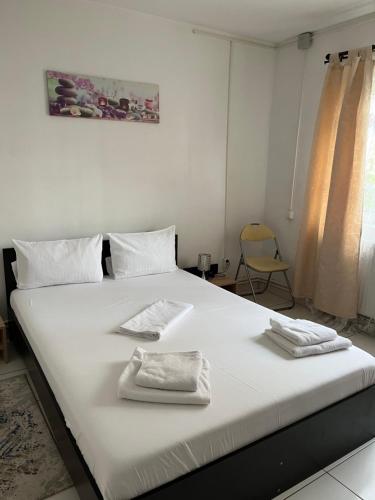 Octav Suite
