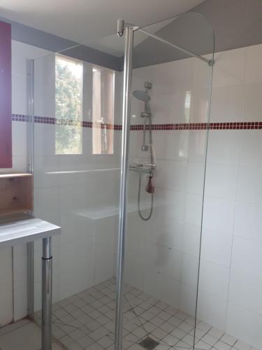 a shower with a glass door in a bathroom at LOGÉVEIL - Maison d'hôtes ''Charme et Bien-être'' - proche forêt et golf in Baugé-en-Anjou