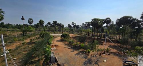 an overhead view of a garden with trees and a road at KK Dream Garden in Kāraikkudi