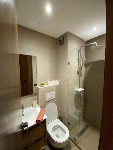 Un baño con ducha, inodoro y lavabo. en studio les joyeux luxury, en Casablanca