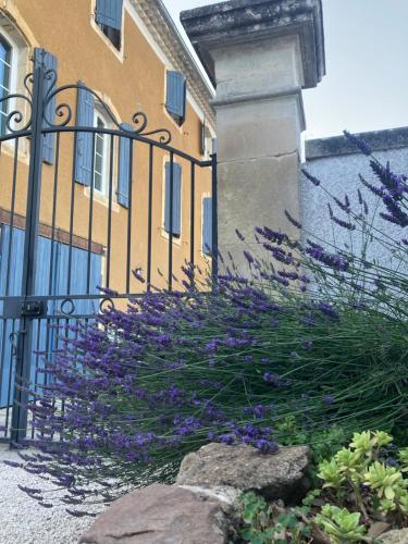 a building with purple flowers in front of a fence at DOMAINE FORVENT in Saint-Julien-de-Peyrolas
