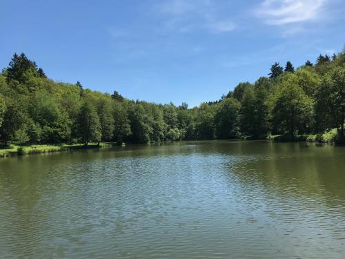 a large lake with trees in the background at Schönes Zimmer mit Küche und Bad im Taunus in Waldsolms