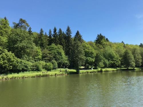 a view of a river with trees and a field at Schönes Zimmer mit Küche und Bad im Taunus in Waldsolms