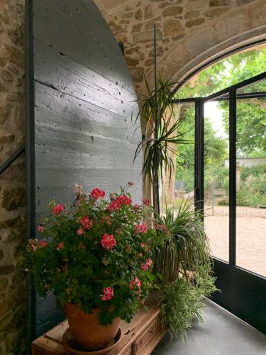 two potted plants sitting on a table next to a window at DOMAINE FORVENT in Saint-Julien-de-Peyrolas