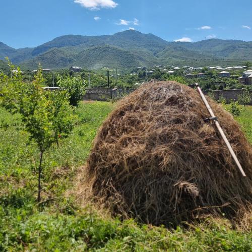 a large pile of hay in a field at Alpha Rest House in Ijevan