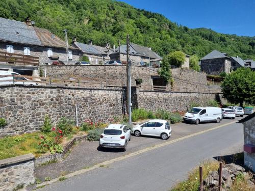 a group of cars parked on the side of a road at Au coeur du Volcantal in Laveissière