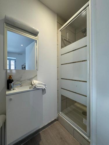 une salle de bain avec un lavabo et un miroir dans l'établissement Petit studio, fonctionnel 2A, à Royat
