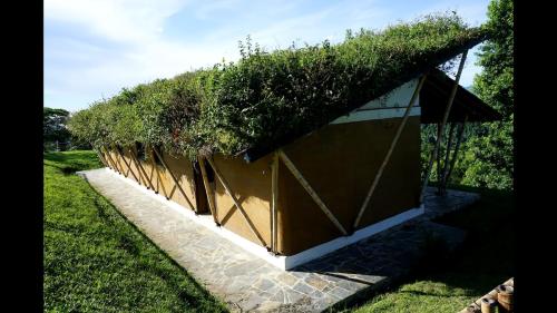 Zahrada ubytování Casa de Barro en un Lugar Mágico Citlalapa