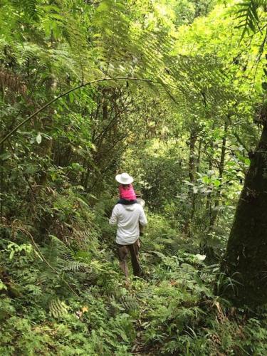 Hosté ubytování Casa de Barro en un Lugar Mágico Citlalapa