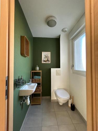 une salle de bain verte avec des toilettes et un lavabo dans l'établissement Au Coin du Verger, à Colmar