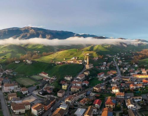 an aerial view of a city with a mountain at A casa di amici in Vidor