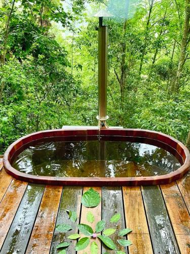 Sumérgete en el bosque Citlalapaにある庭