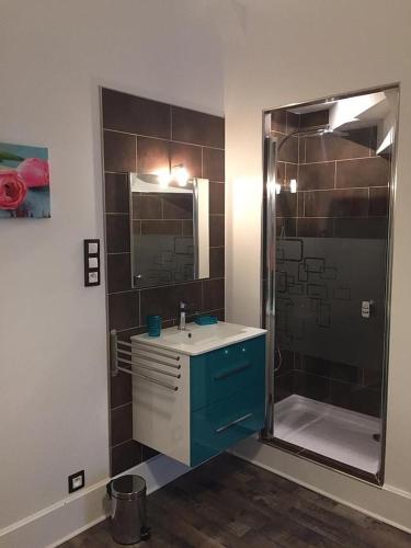 une salle de bain avec une douche, un lavabo et un miroir dans l'établissement Belle maison au coeur de Beaune avec piscine privée, Cabotte Dionysos, à Beaune