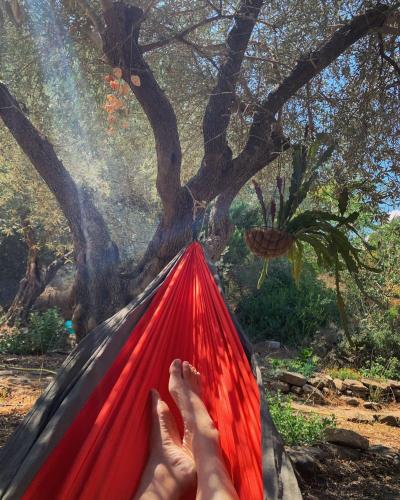 a person laying in a hammock under a tree at The house of Kadita in Kadita