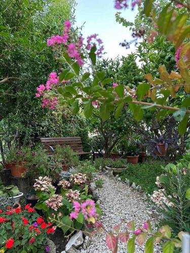Gallery image of Apartman Branka in Rab