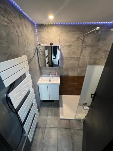 une salle de bain avec un lavabo et un miroir dans l'établissement Superbe appartement silencieux dans l'hyper centre, à Lyon