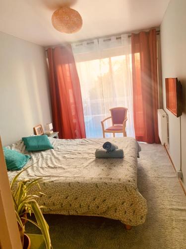 une chambre avec un lit avec une chaise et une fenêtre dans l'établissement Chez Florence et Pierre, calme, confort et lumière, à Angers