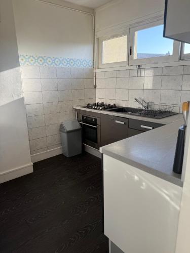 une cuisine avec un évier et une cuisinière four supérieur dans l'établissement Le Nemours, à Thonon-les-Bains