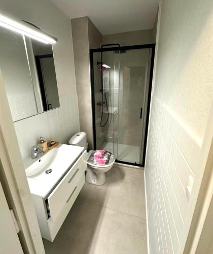 a bathroom with a shower and a toilet and a sink at Cozy studio avec balcon aux portes de Genève in Ambilly